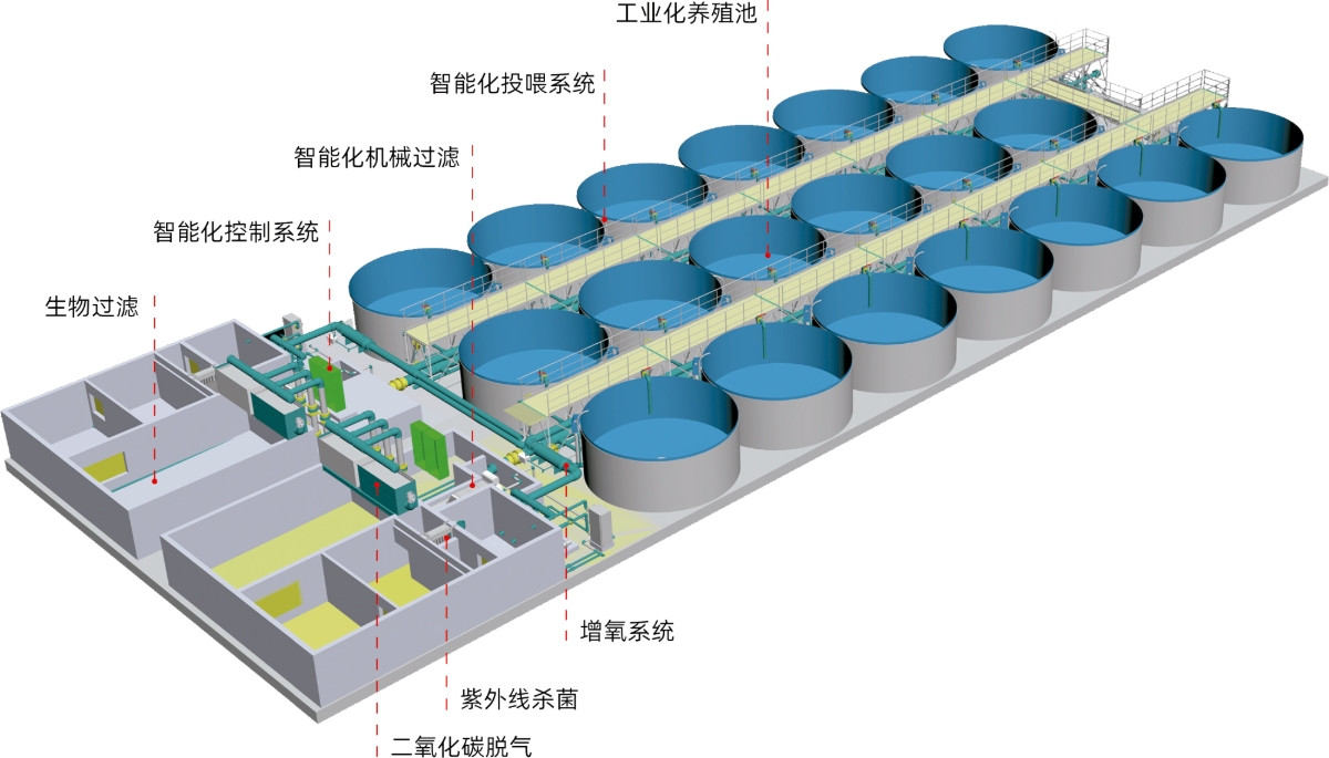 陸基生態(tài)化循環(huán)水水產養(yǎng)殖系統
