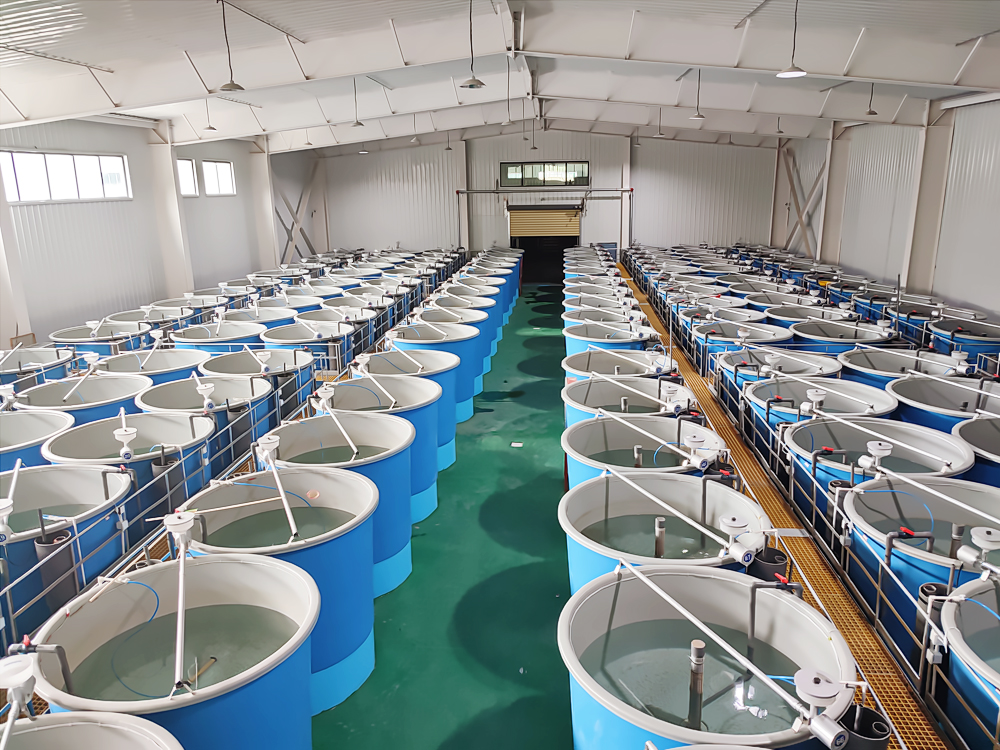 西藏亞?wèn)| - 亞?wèn)|鮭魚(yú)-淡水