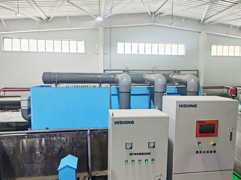 西藏亞?wèn)| - 亞?wèn)|鮭魚(yú)-淡水